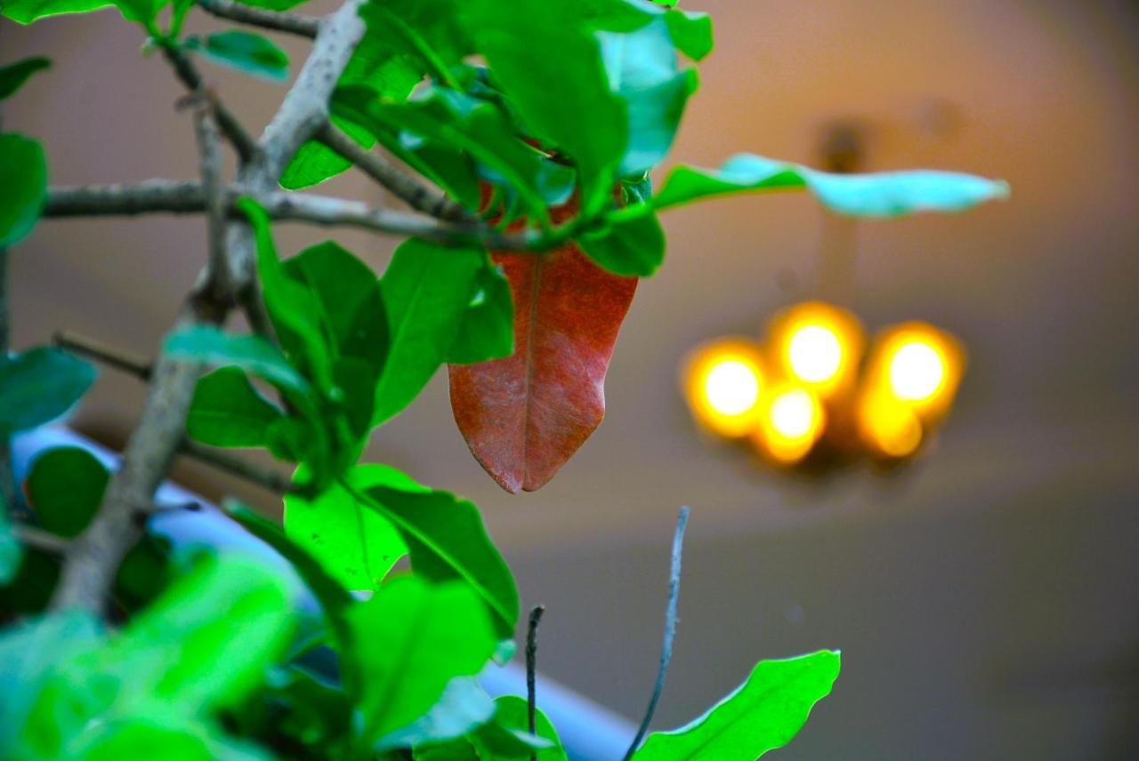 Malaiya Homestay - Grandeur Living Experience Jabalpur Extérieur photo